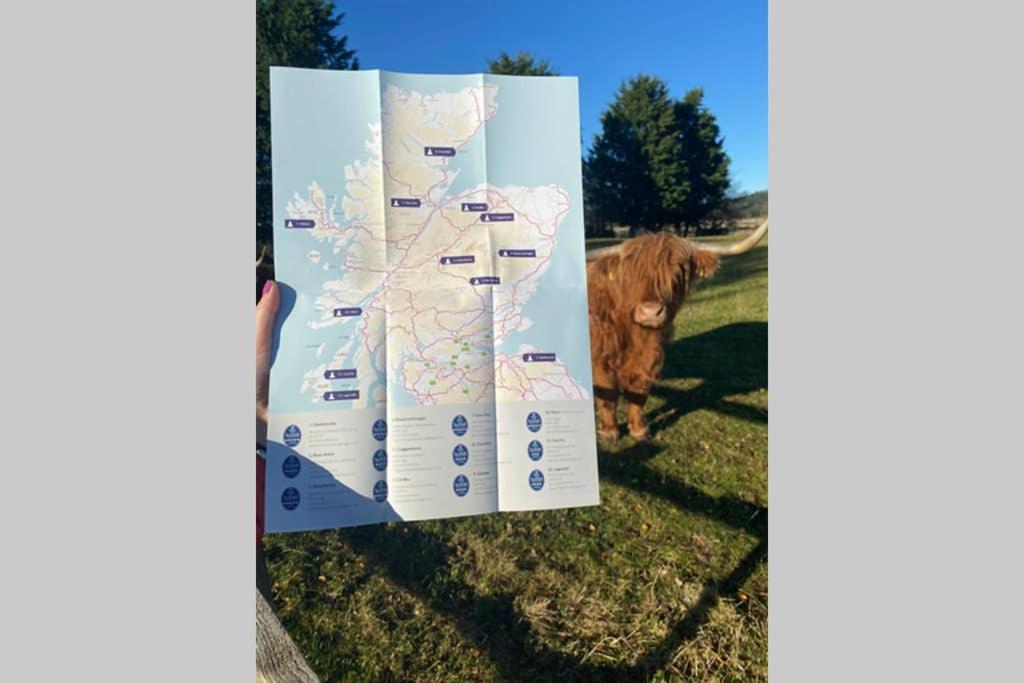 فيلا Glampods Glamping Pod - Meet Highland Cows And Sheep إلجين المظهر الخارجي الصورة