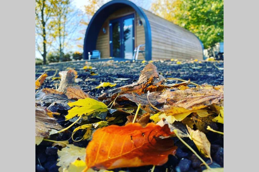 فيلا Glampods Glamping Pod - Meet Highland Cows And Sheep إلجين المظهر الخارجي الصورة